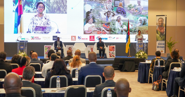 Lançamento da Estratégia Nacional de Inclusão Financeira